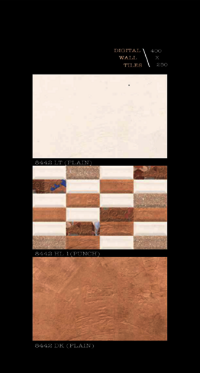 250 X 400 Outdoor Porcelain Wall Tiles - Material: Ceramic