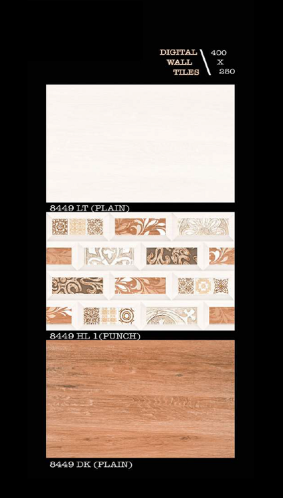 250 X 400 OUTDOOR PORCELAIN WALL TILES