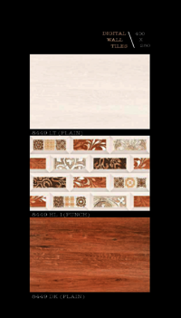 250 X 400 OUTDOOR PORCELAIN WALL TILES