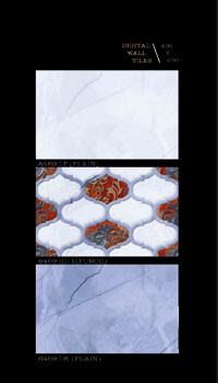 250 X 400 OUTDOOR PORCELAIN WALL TILES