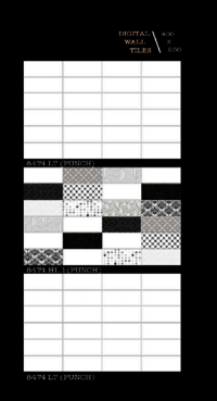 250 X 400 OUTDOOR PORCELAIN WALL TILES