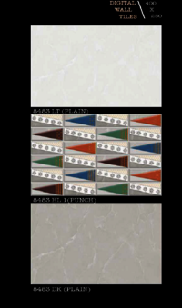 250 X 400 OUTDOOR PORCELAIN WALL TILES