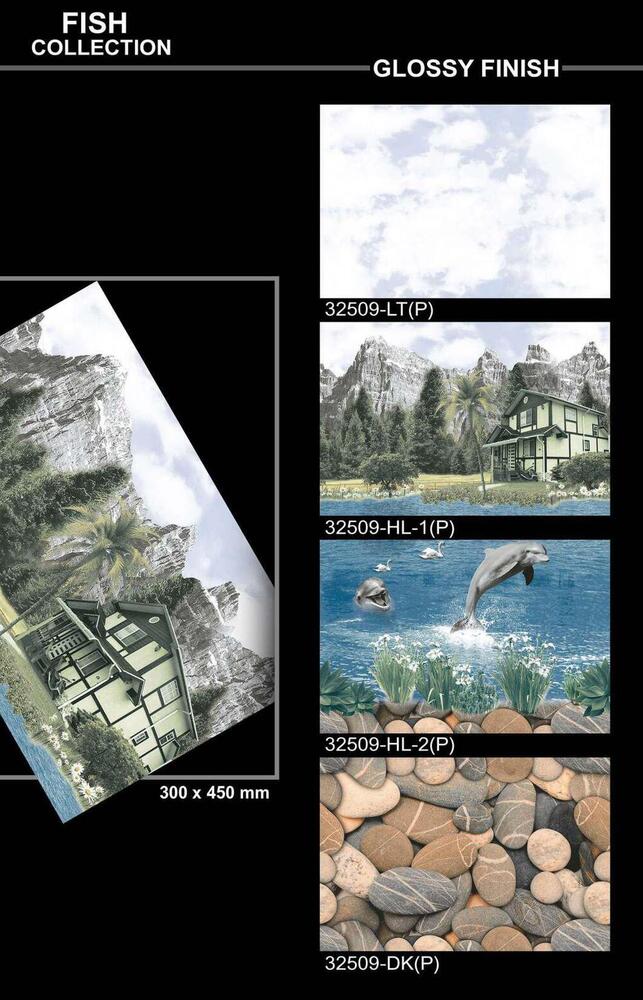 300 X 450 DESIGNER POLISHED WALL TILES