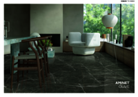 600 X 1200  CARGE FORMATE PORCELAIN TILES