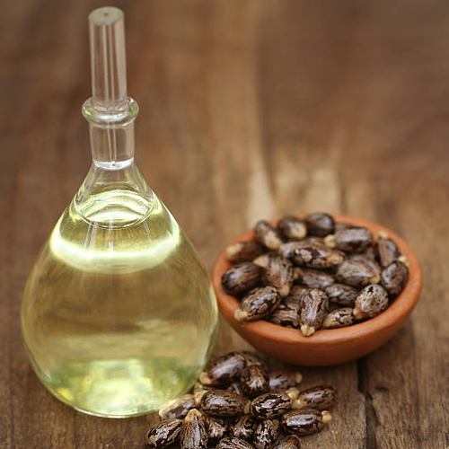 Castor Oil - Cultivation Type: Organic