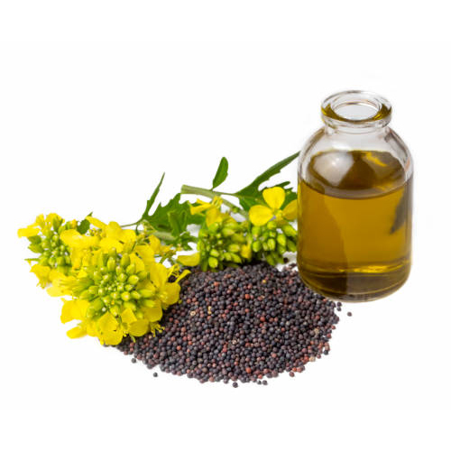 Mustard Oil - Cultivation Type: Organic