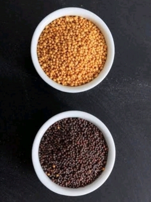Mustard Seed - Color: Black