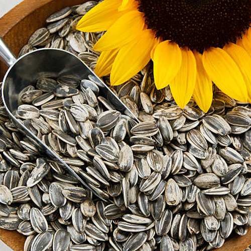 Sunflower Seed - Color: Black