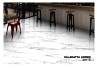 600 X 1200  RECTIFIED PORCELAIN TILES