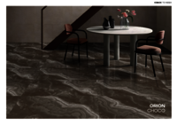 600 X 1200  DIGITAL CERAMIC WALL TILES