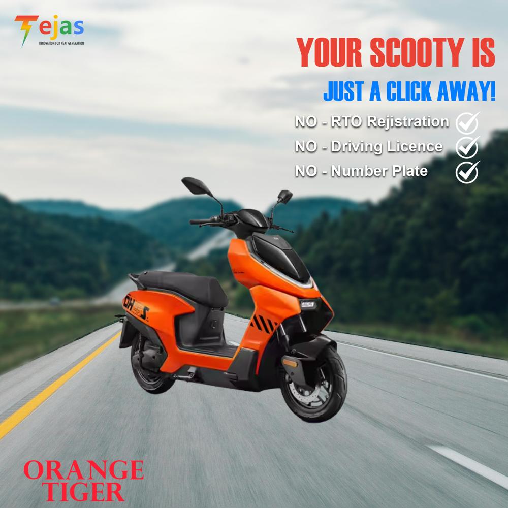 TEJAS ORANGE TIGER