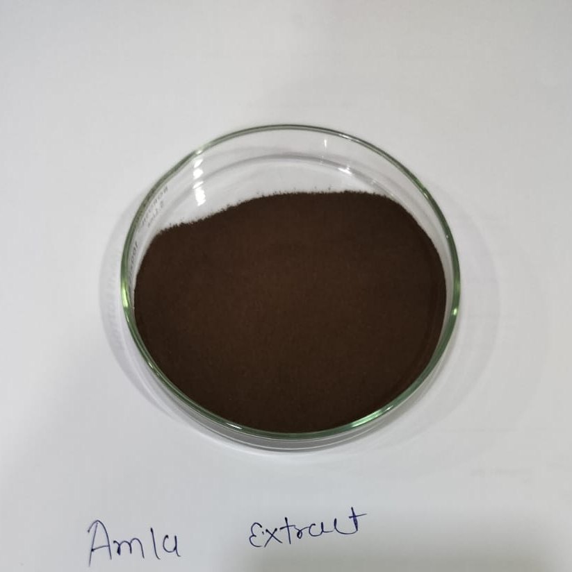 Indian Gooseberry Amla Extract Powder