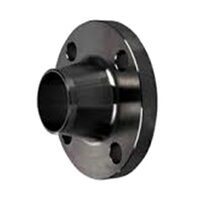 SS Weld Neck Flange