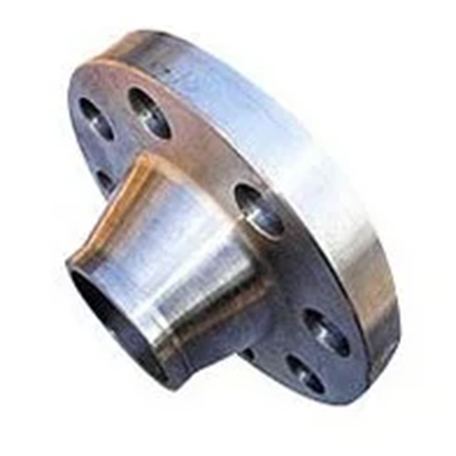 Ss Weld Neck Flange - Color: Silver