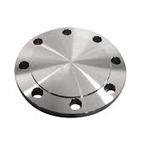 Blind Flange - Color: Silver
