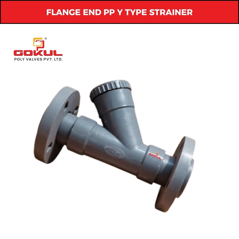 PP Y Strainer Flange End