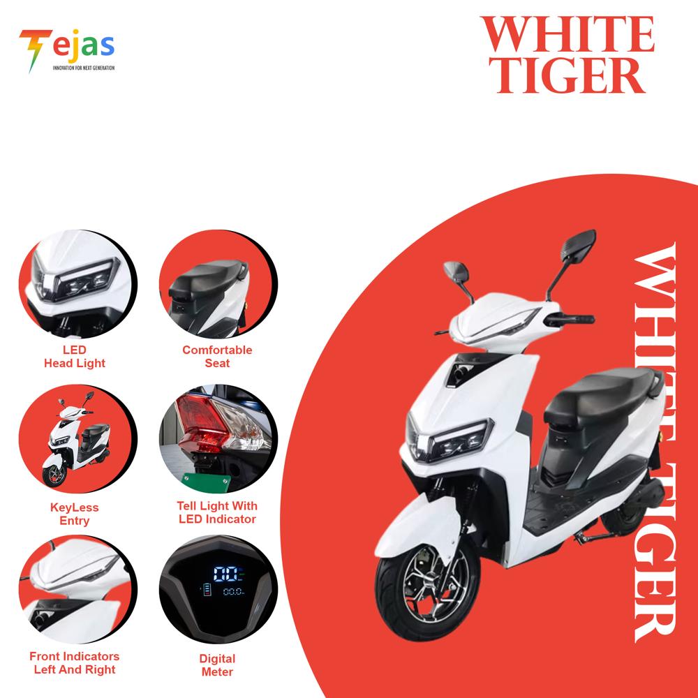 WHITE TIGER