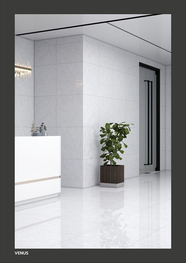 Glossy Floor Tile