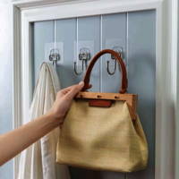 TRANSPARENT KADI HOOK