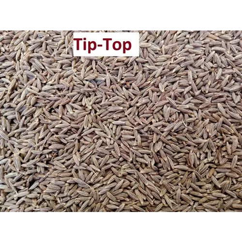 सेमी बोल्ड जीरा