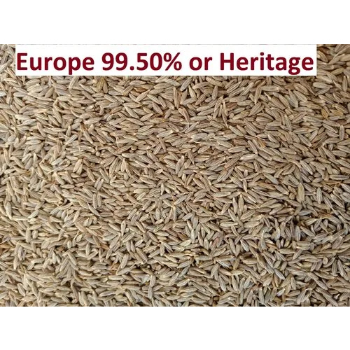 Europe 99.50% Cumin Seeds - Color: Brown