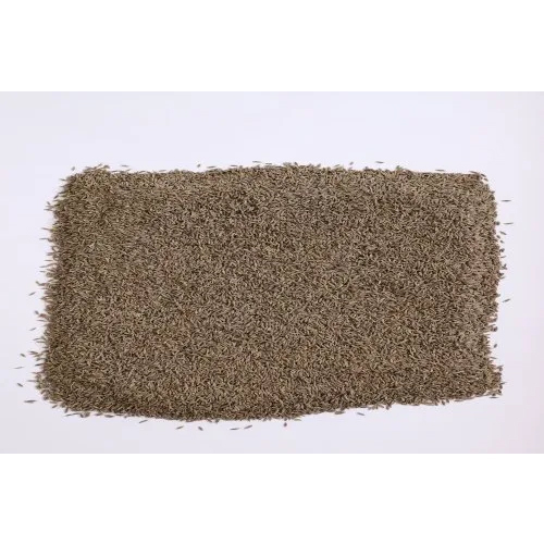 देसि तड़का जीरा