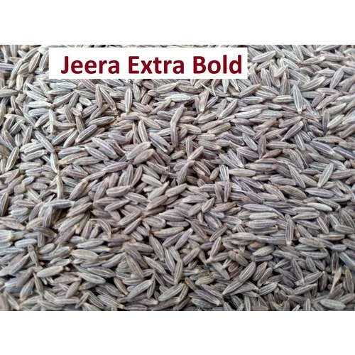 Extra Bold Cumin Seed - Color: Brown