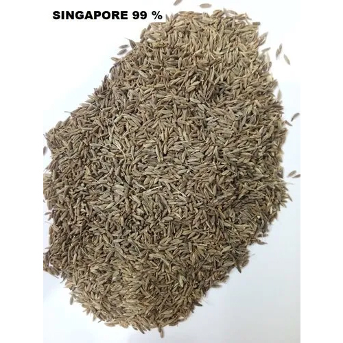 Singapore Quality 99 Cumin Seeds - Color: Brown