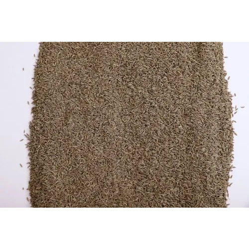 Vipgold Cumin Seeds - Color: Brown