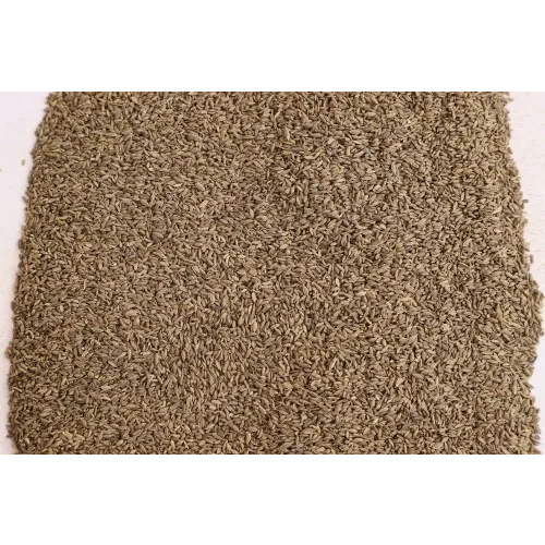 Natural Spices Seeds