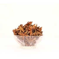 Autumn Star Aniseed - Color: Brown