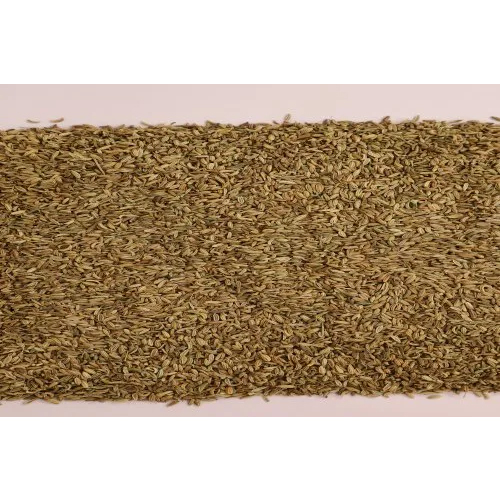 Fennel Seed
