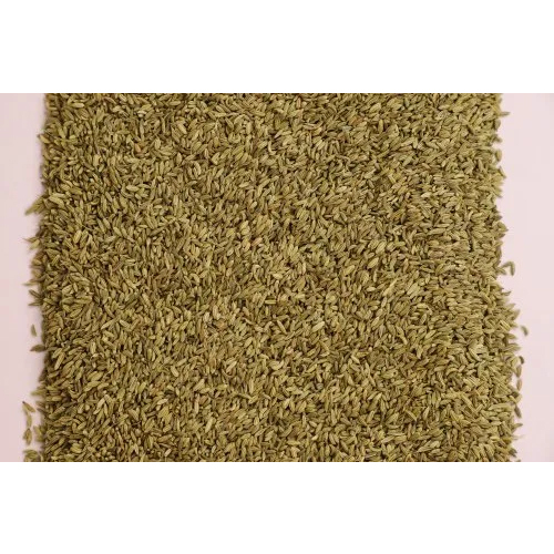 Double Saunf Seed - Color: Green