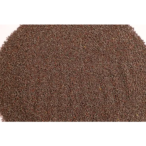 Extra Bold Black Mustard - Cultivation Type: Organic