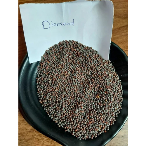 Mustard Seed