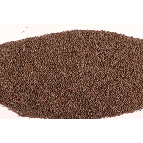 A- One Black Mustard