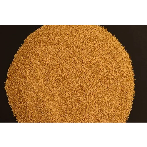 Bold Yellow Mustard
