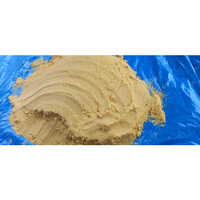 Medium Quality Yellow Mustard Powder - Grade: A