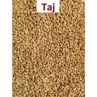 Taj Methi Seeds