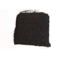 Single Sortex Kalongi Black Cumin Seeds - Cultivation Type: Organic