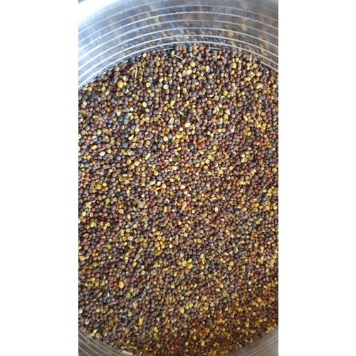 Whole Mustard For powder purpose