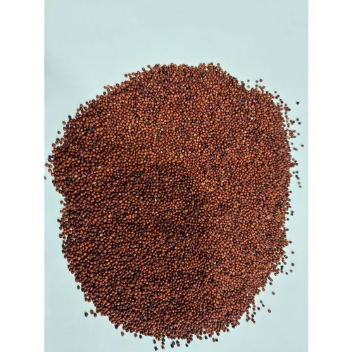 Ragi Finger Millet Seeds
