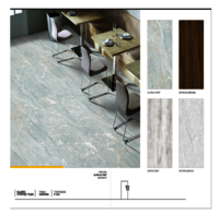 600 X 1200  Elevation Ceramic Floor Tiles