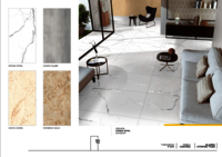 600 X 1200  ELEVATION CERAMIC FLOOR TILES