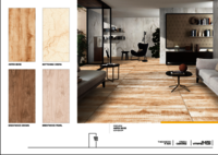 600 X 1200  ELEVATION CERAMIC FLOOR TILES