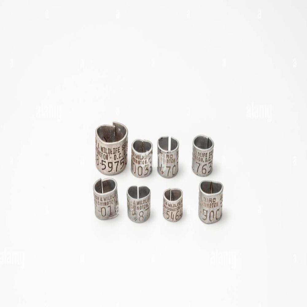 Bird Tag (aluminium) - Application: Veterinary Purpose