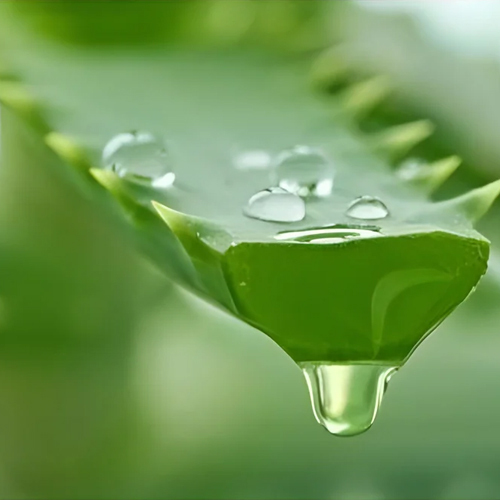 Aloe Vera Gel