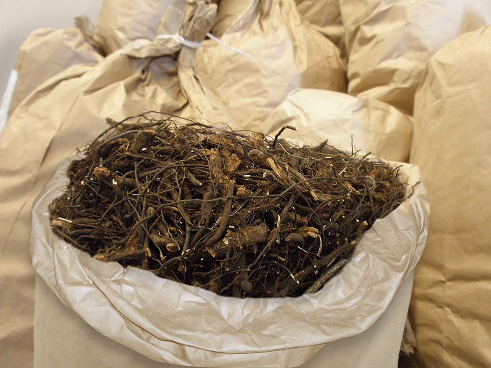 Cetrimide Powder Api