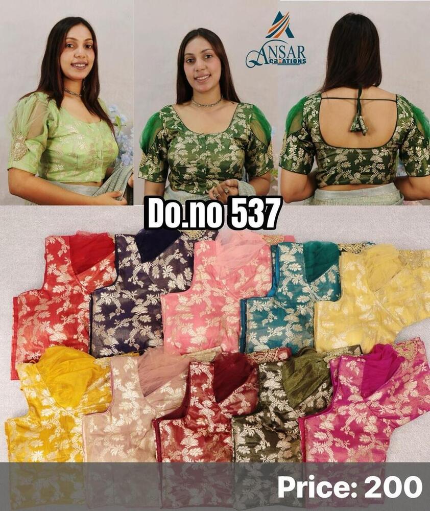 Embroidery Multi work blouse