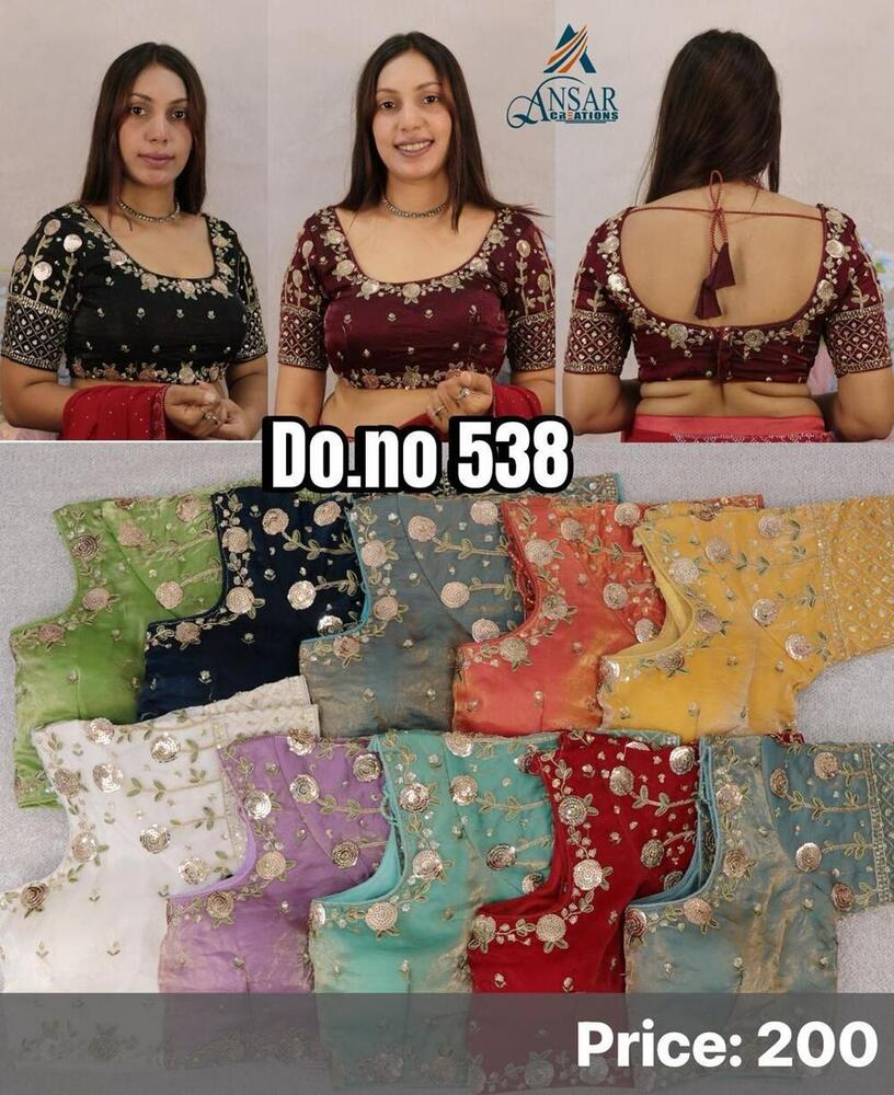 Embroidery Multi work blouse
